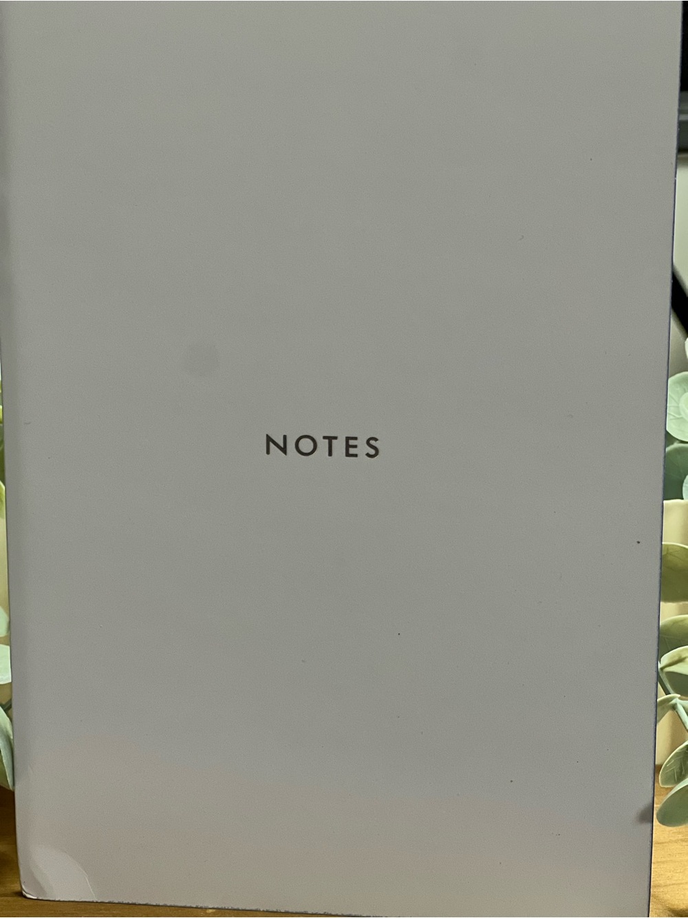 Kate Spade NOTES Journal